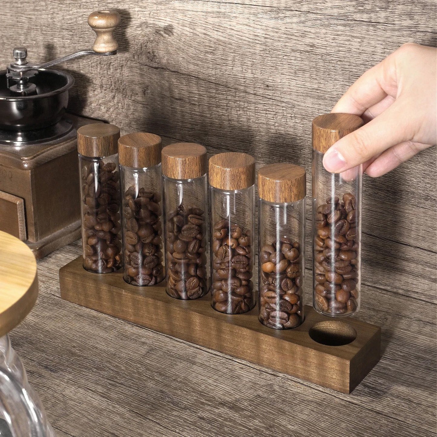 SET DE ALMACENAMIENTO P/GRANOS DE CAFÉ