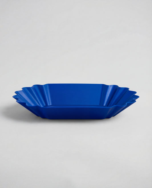 BANDEJA DE CATACION AZUL